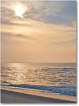 Beach-Assateague-2014June_IMG_2751 copy