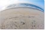 Beach-Assateague-2014June__S3A8044 copy