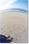 Beach-Assateague-2014June__S3A8051 copy
