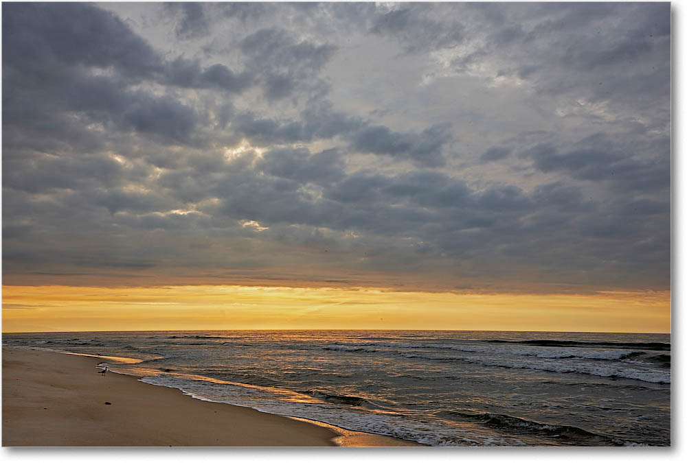 AssateagueSunrise_2016Jun__S3A9258 copy