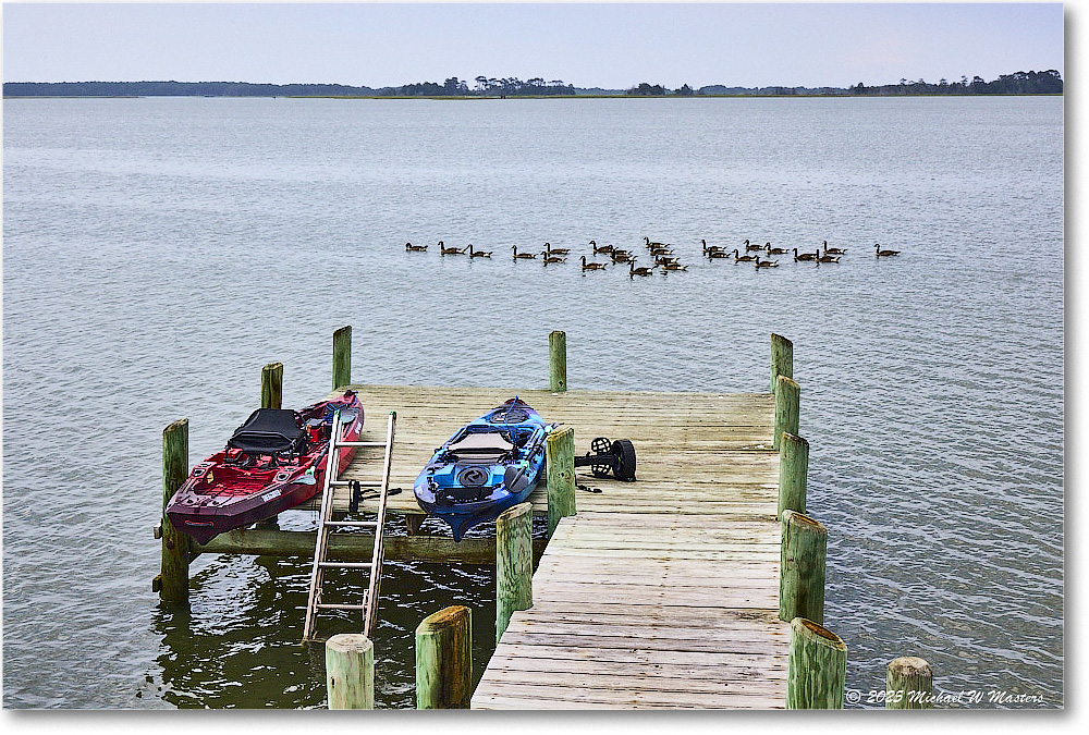 GooseParade_OysterBay_2025Jun_R5B31282