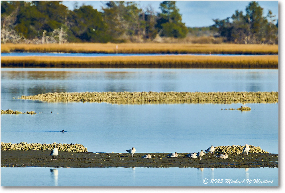 OysterBay_2025Nov_R5D03123