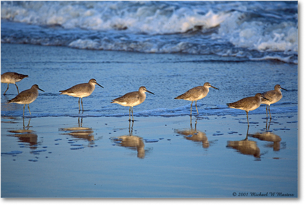 2001Oct_Willets on Shore 001-19-p 0110 3-400Z-P2 M5-200