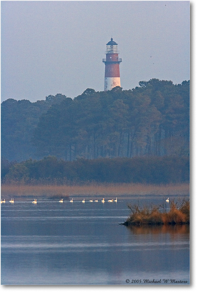 2005Mar_AssateagueLighthouse_ChincoNWR_E0K2301