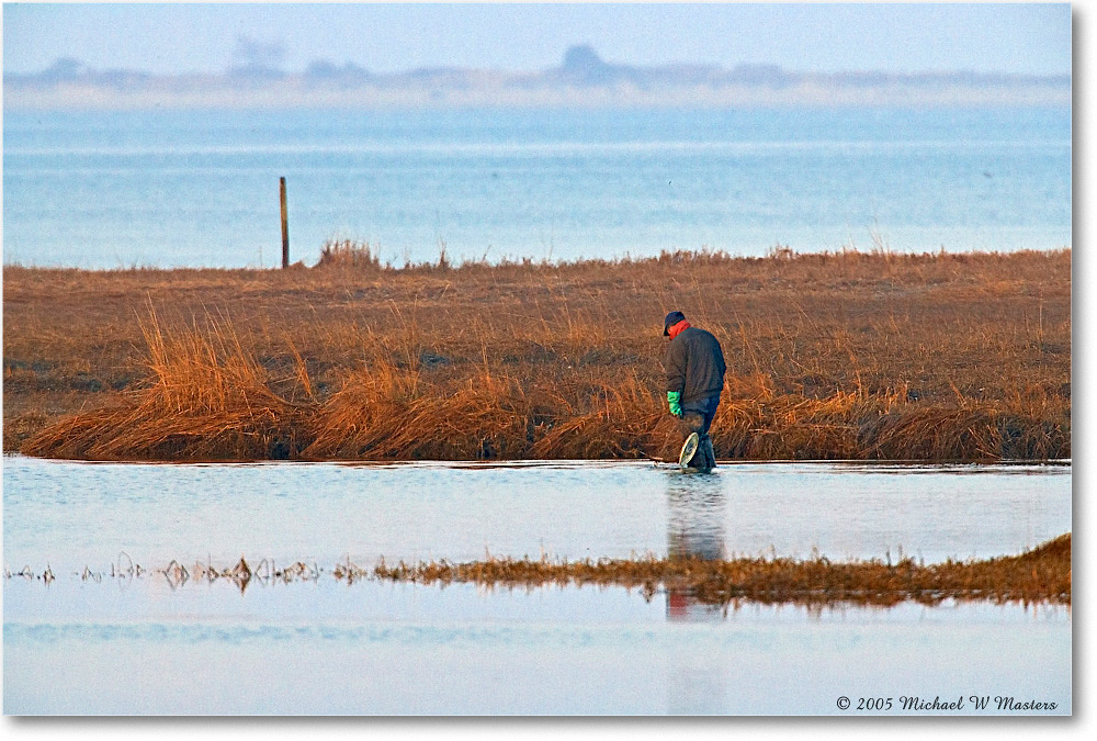 2005Mar_TomsCove_ChincoNWR_E0K2328