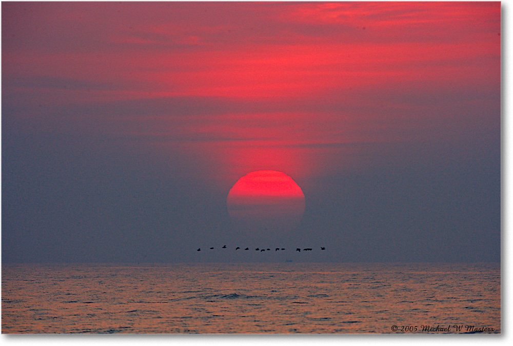 2005Oct_SunriseAtlantic_Assateague_E0K4731