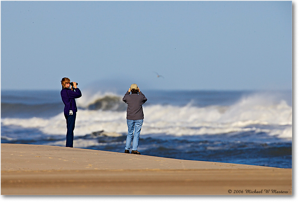 2006Nov_AtlanticBeach_Assateague_E0K8346