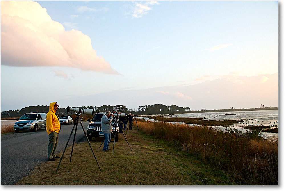 2008Nov_SnowGooseWatchers_ChincoNWR-wll_VE0K9391