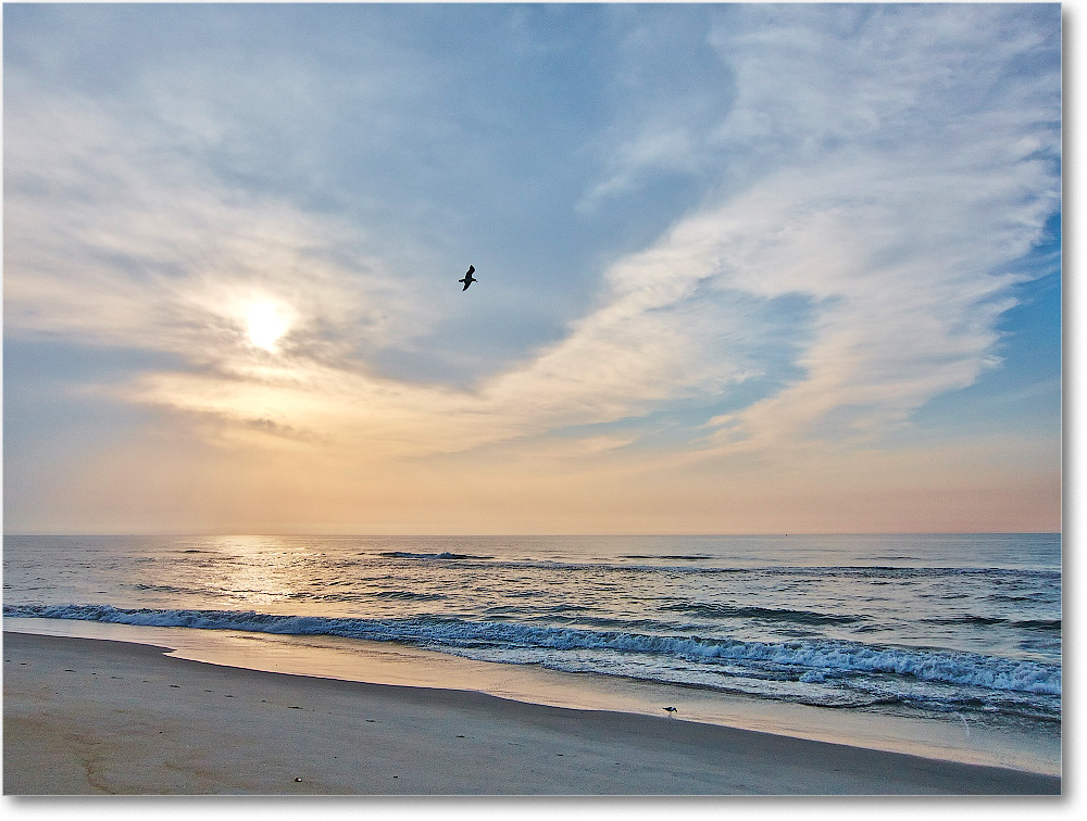 2014June_Beach-Assateague-IMG_2750