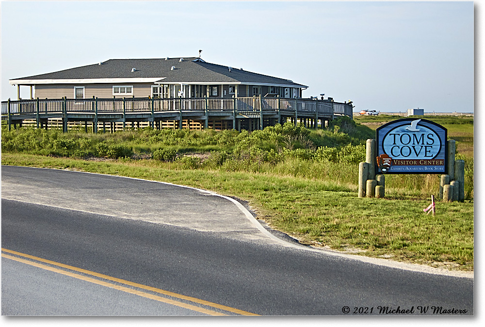 2021Jun_TomsCove_Assategue_IMG_4132