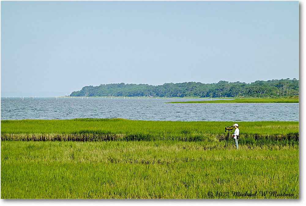 2022Jun_Birdwatcher_Assateague_SRX00032