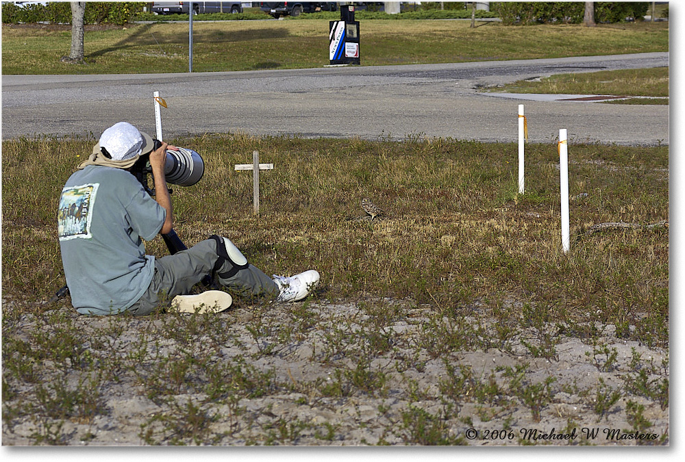 BurrowingOwl_CapeCoral_2006Jan_Y2F7296 copy