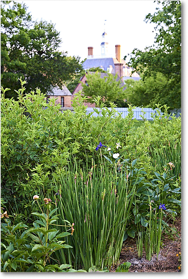 StGeorgeTuckerGarden_Williamsburg_2022May_R5B08354 copy