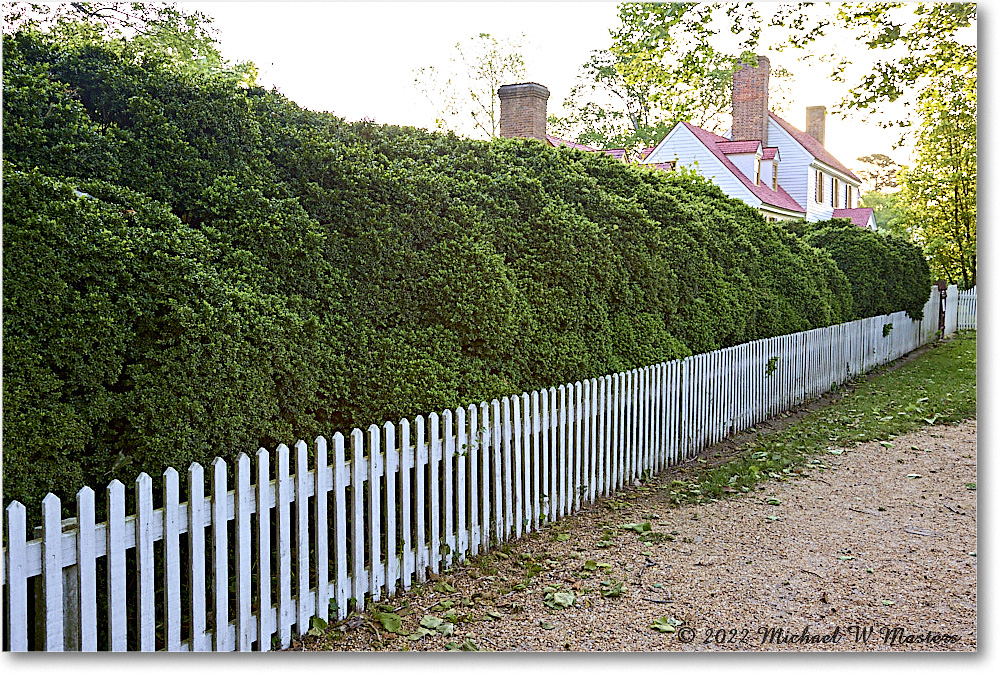 StGeorgeTuckerGarden_Williamsburg_2022May_R5B08367 copy