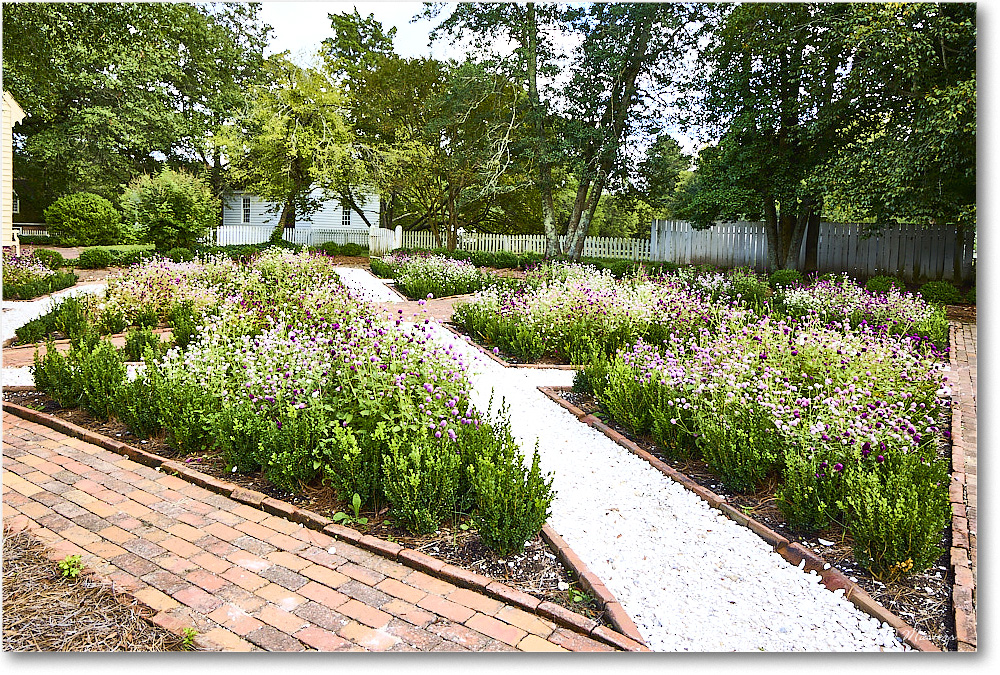 GreenhowTenementGarden_ColonialWilliamsburg_2024Sep_R5B30564