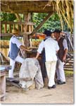 ColonialFarmerInterpreter_ColonialWilliamsburg_2024Sep_R5B30233