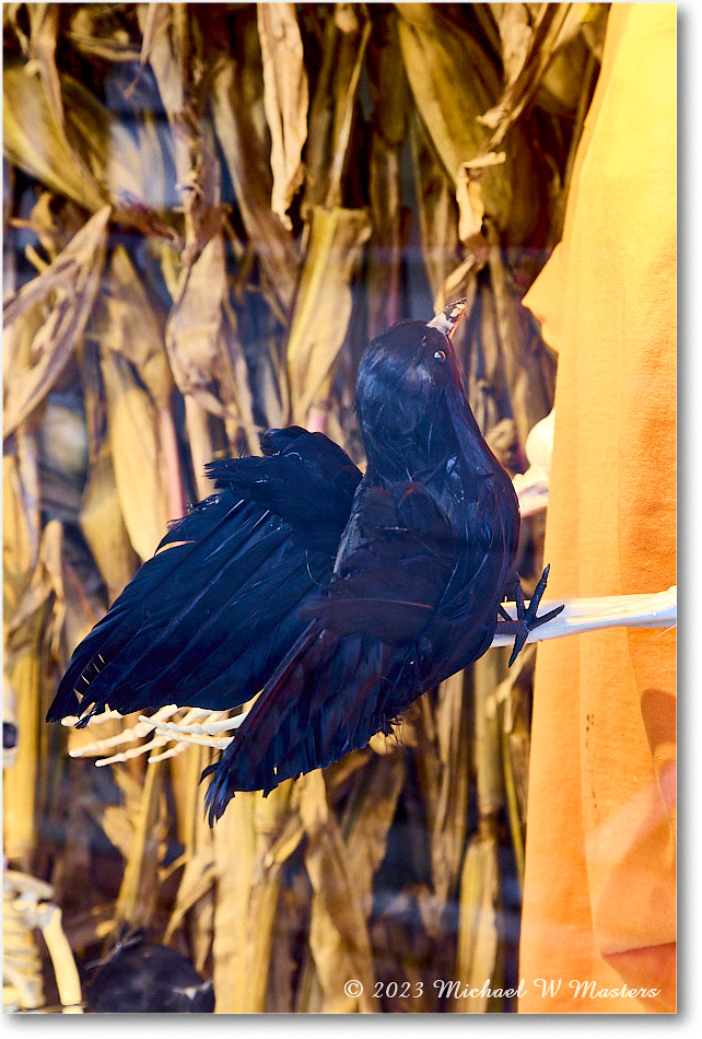 Halloween_Fredericksburg_2023Oct_R5B13347 copy