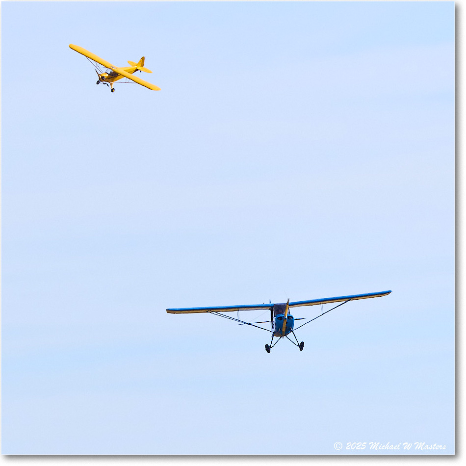 Aeronoca&PiperCub_ShannonHarvestFlyIn_2025Oct_R5C05133