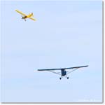 Aeronoca&PiperCub_ShannonHarvestFlyIn_2025Oct_R5C05133