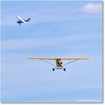 PiperCub&Aeronica_ShannonHarvestFlyIn_2025Oct_R5C05126