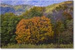 054-HazeltopRidgeOverlook_SkylineDrive_2021Oct_R5B05774