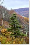 CrescentRockOverlook_SkylineDrive_2022Oct_R5A19804-05_HDR