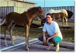 Foal&Friend_ChincoNWR_1990Jun_K31 copy