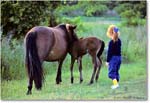 PonyFoalFriend_ChincoNWR_1992Jun_K26 copy