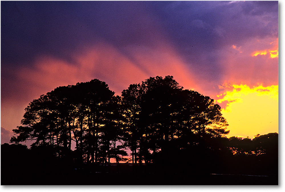 AssateagueOverlookSunset_ChincoNWR_2005May_F33 copy