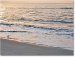 Beach-Assateague-2014June_IMG_2753 copy