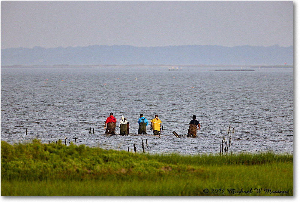 Oystermen_LittleTomsCove_2022Jun_R5A06447 copy