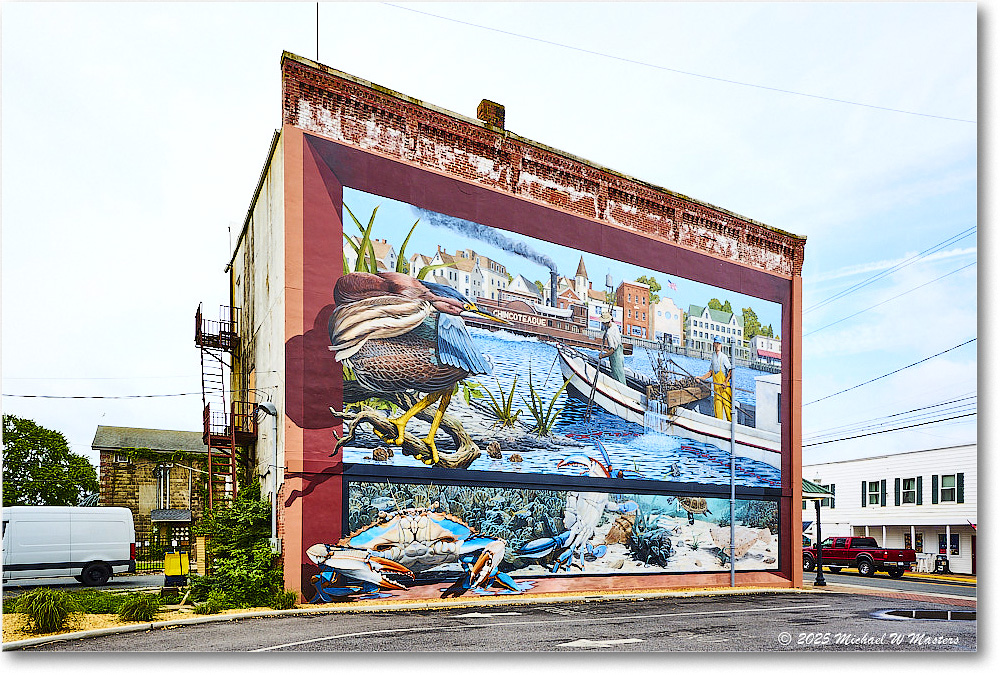 WallArt_Chincoteague_2025Jun_R5B31290