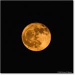 StrawberryMoon_OysterBay_2025Jun_R5A25614