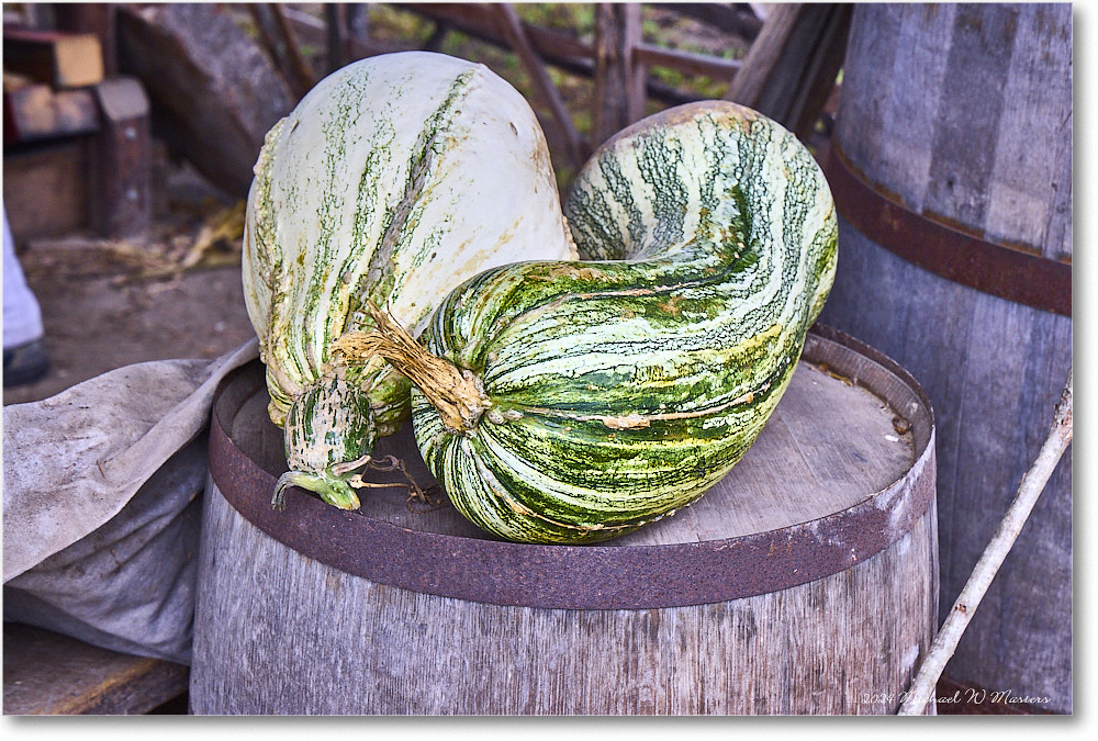 ColonialFarmVegetable_ColonialWilliamsburg_2024Sep_R5B30235