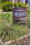 FerryFarm_Garden_2021Aug_R5B04155