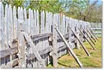 FerryFarm_Grounds_2019Apr_5D5A1380