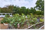 Garden_FerryFarm_2025Sep_R5D02152-54_HDR