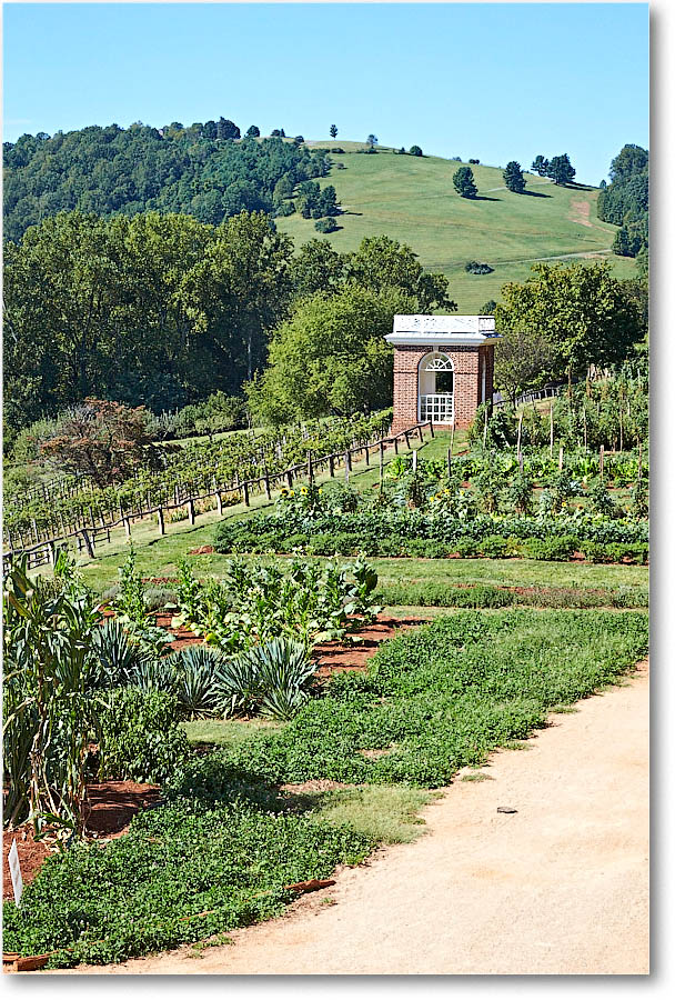 Monticello_2016Sep_2DXB3468 copy