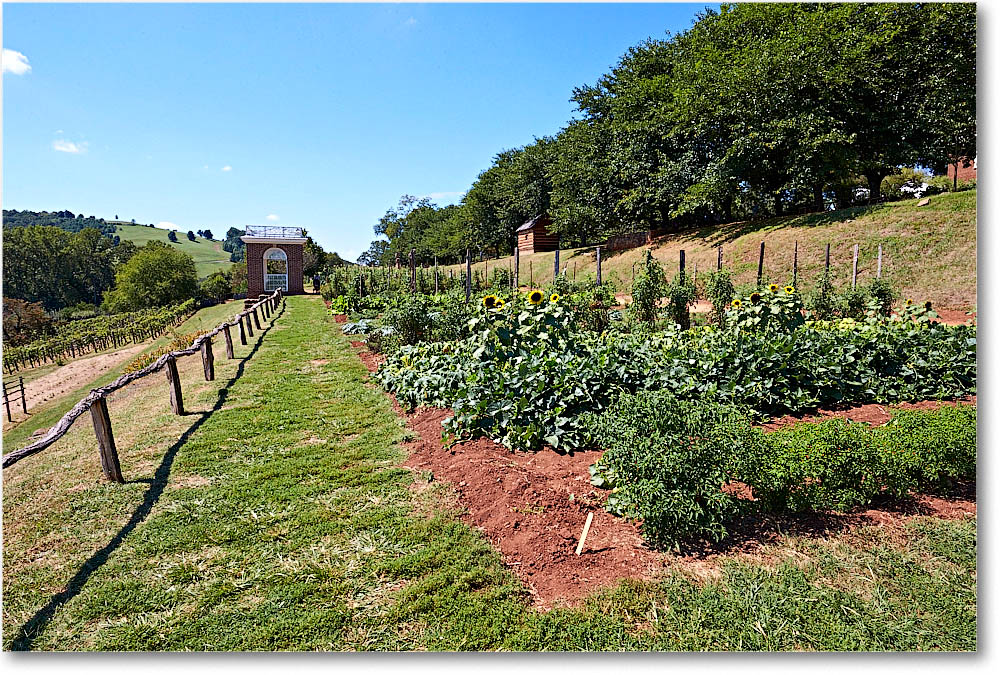 Monticello_2016Sep_2DXB3537 copy