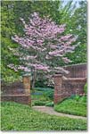 Kenmore_2021Apr_5DB02272