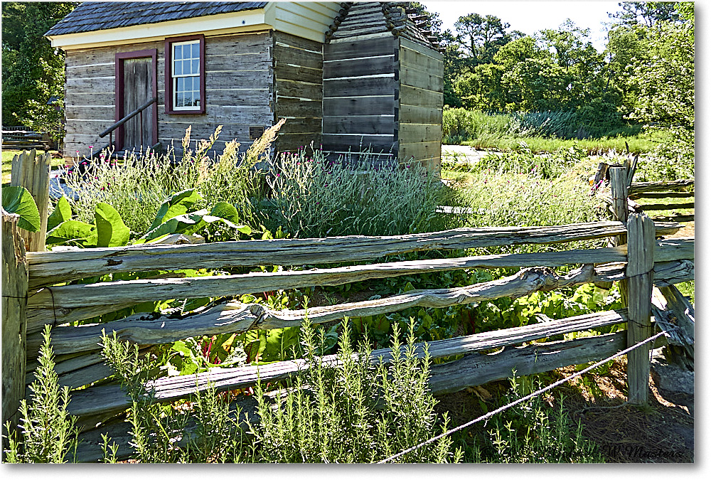 TimHillHouse_Chincoteague_2022Jun_SRX00051 copy