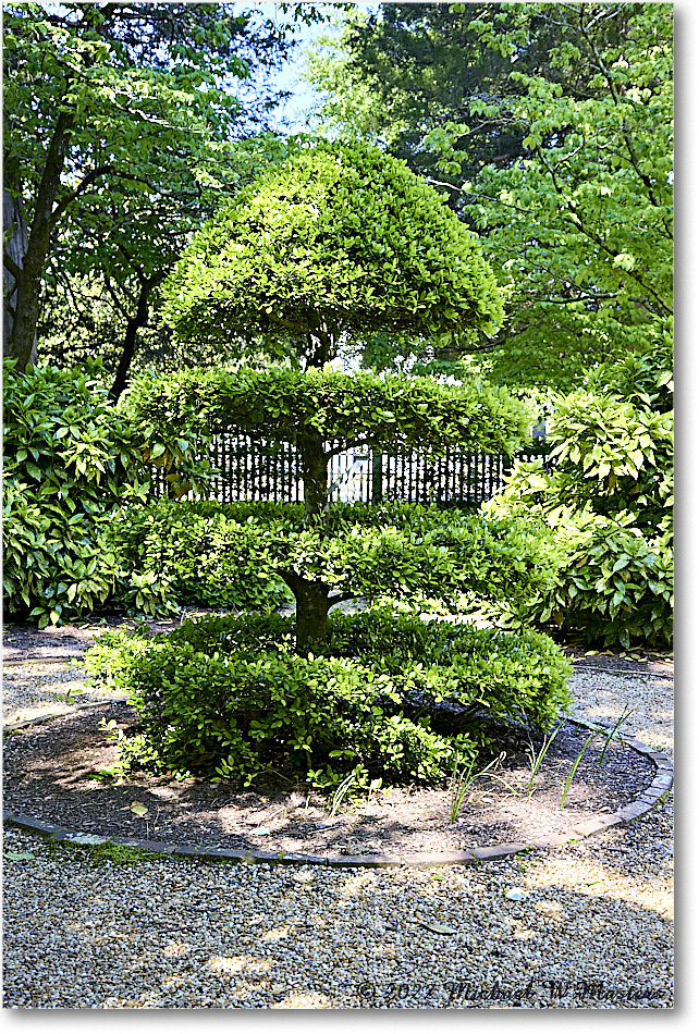 ChristianaCampbellsTavernGarden_Williamsburg_2022May_R5B07935_HDR copy