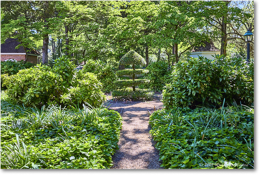 ChristianaCampbellGarden_Williamsburg_2025May_R5A24910