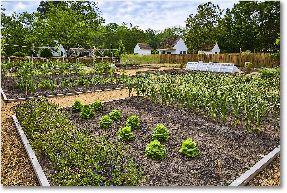 ColonialGarden_Williamsburg_2025May_R5C02849