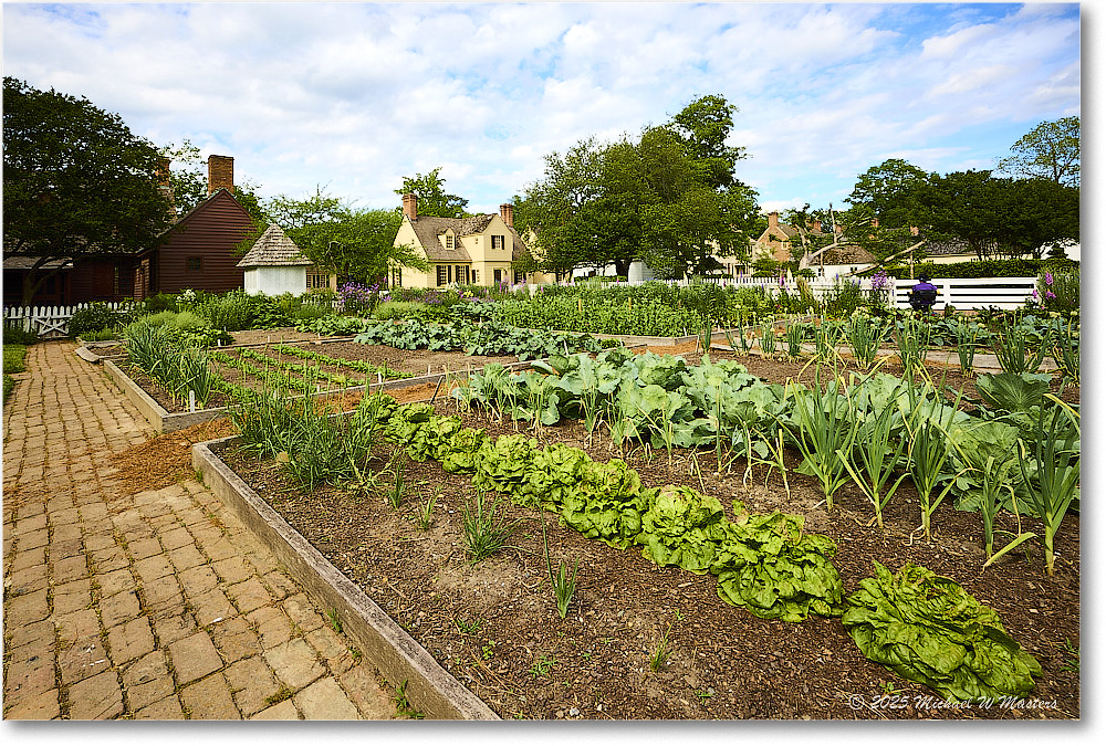 KingsArmsTavernGarden_Williamsburg_2025May_R5A24942