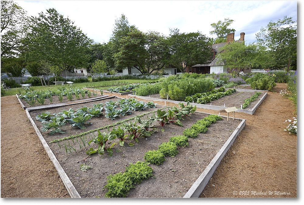 OrlandoJonesGarden_Williamsburg_2025May_R5A24940
