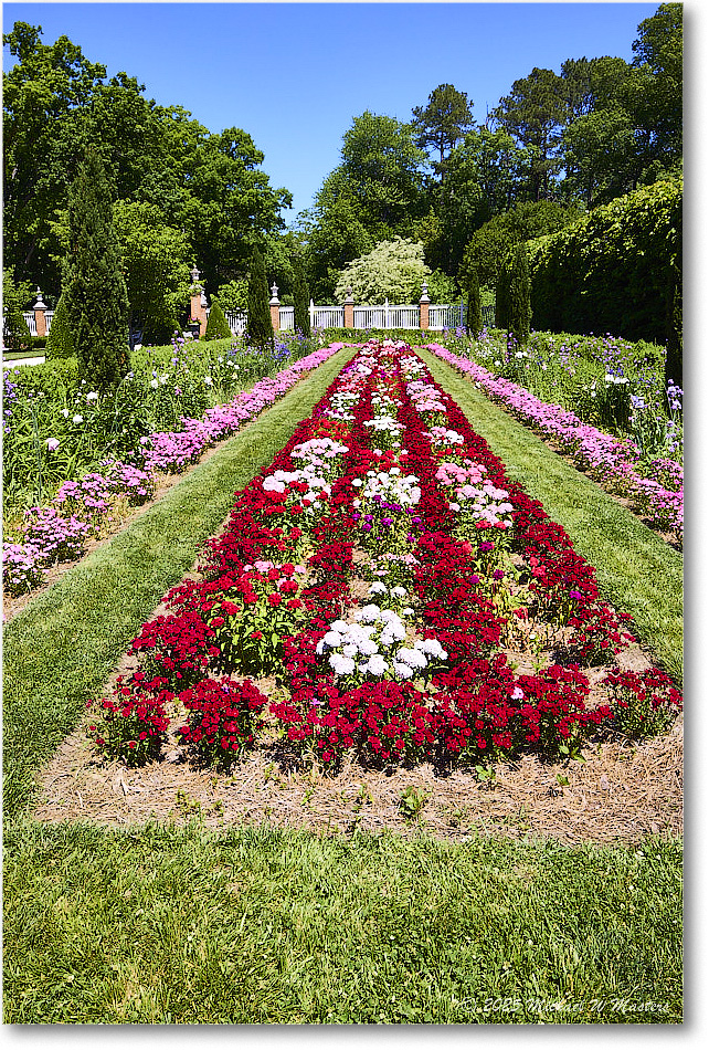 PalaceGarden_Williamsburg_2025May_R5B31140