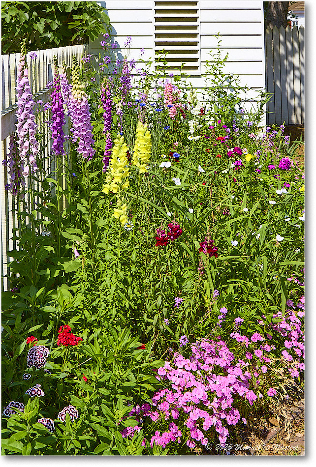 ShieldsTavernGarden_Williamsburg_2025May_R5C02959