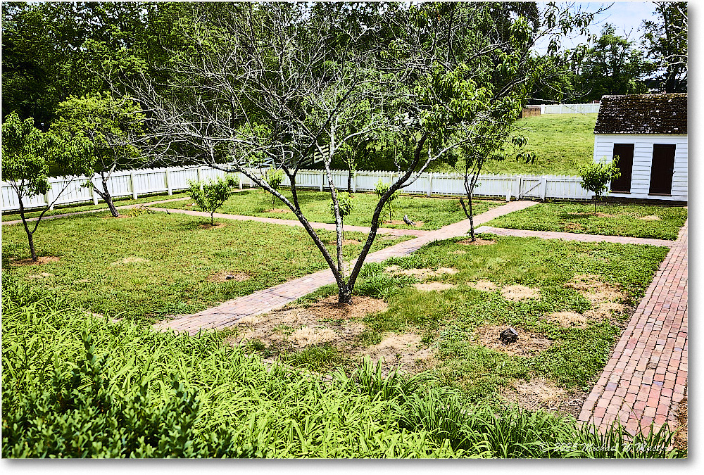 TaliaferroColeArbor_Williamsburg_2025May_R5A24958