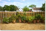 FlowerPotLineup_Williamsburg_2025May_R5C02884